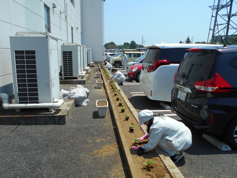 地球に「えecoと」プロジェクト