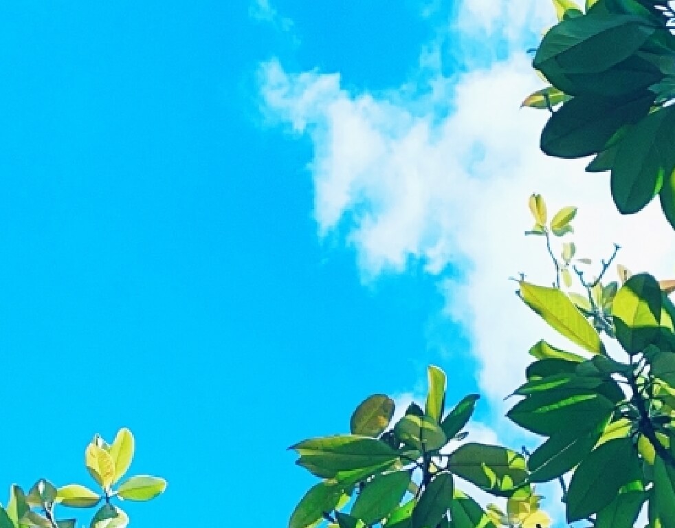 ミヤマ電子のCSR方針